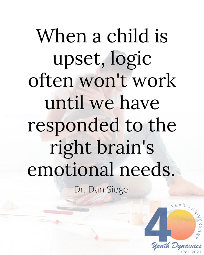 When a child is upset logic wont work - 18 Quotes to Help You on the Path to Purposeful Parenting