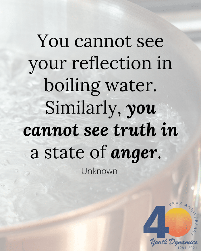 You cannot see truth in a state of anger - Be at Peace. Quotes on Anger and Forgiveness