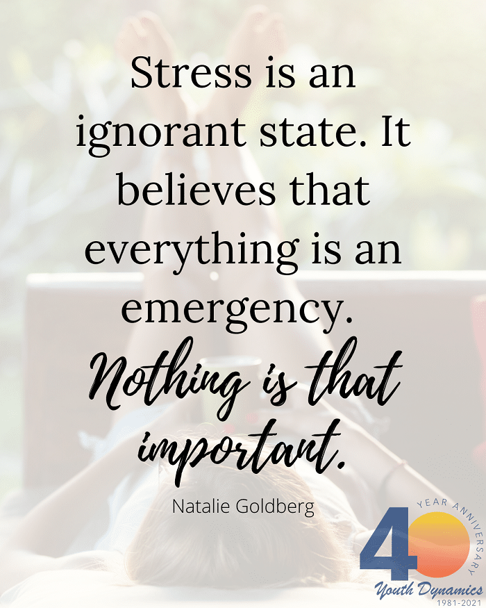 Quote 5 Stress is an ignorant state. It believes that everything is an emergency. Nothing is that important. - 12 Quotes on Anxiety & Coping