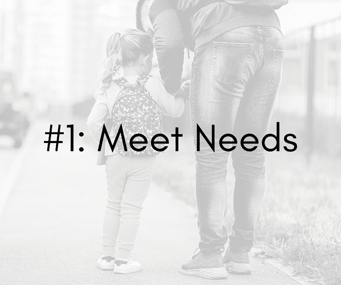 4 Tips to Parent Foster Children with Trauma History- Meet Needs (1)