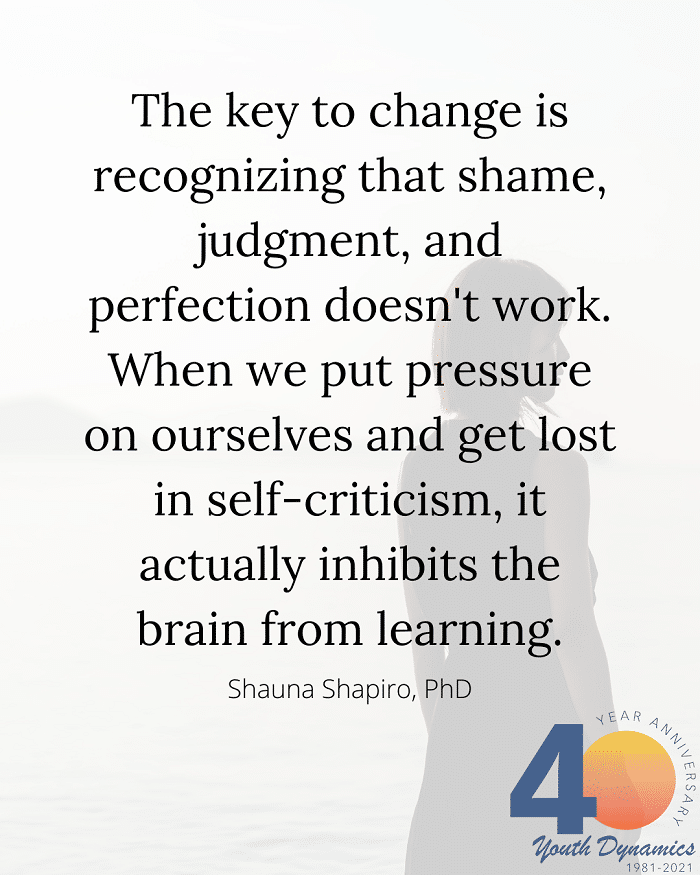Personal Growth Quote 2- The key to change is recognizing that shame, judgment, and perfection doesn't work. - Shauna Shapiro, PhD