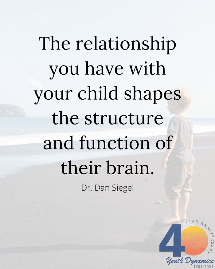 Quote 1- The relationship you have with your child shapes the structure and function of their brain. - Dr. Dan Siegel