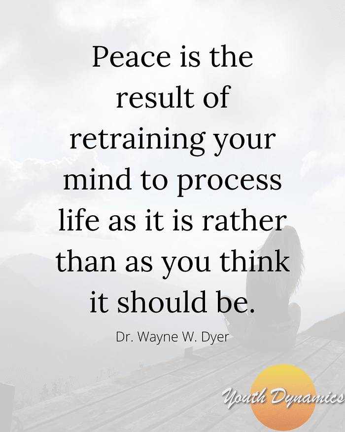 Quote 3 Peace is the result of retraining your mind to process life as it is rather than as you think it should be. - 13 Quotes on Navigating Stress