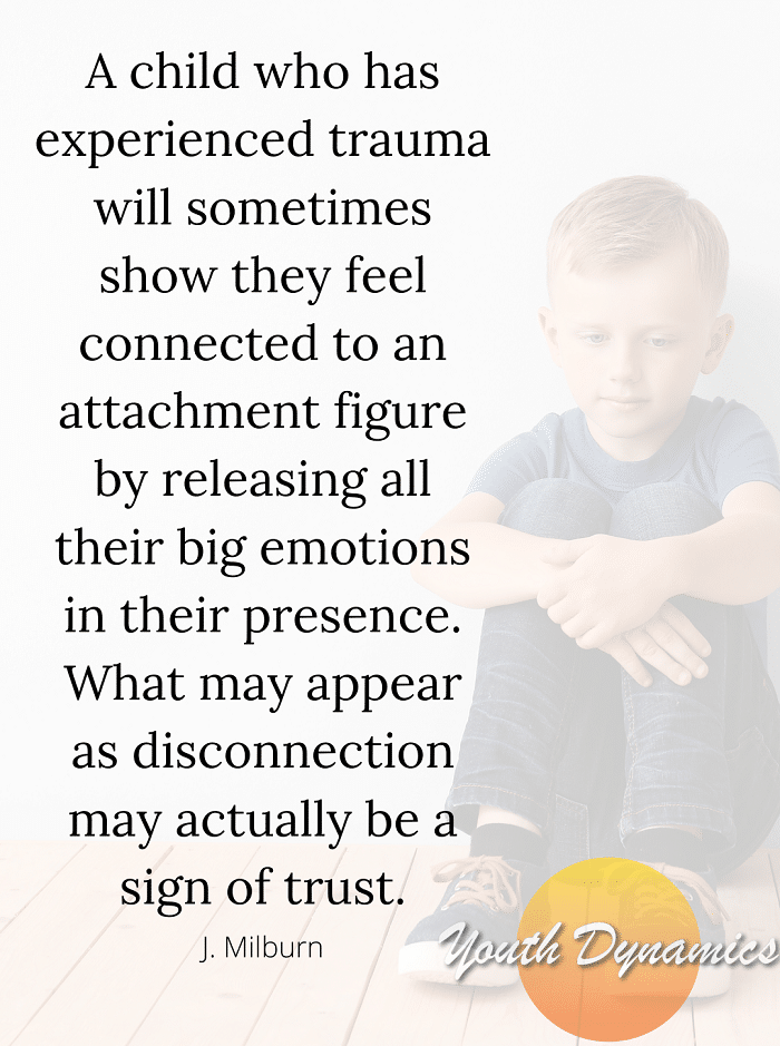 Quote 8- A child who has experienced trauma will sometimes show they feel connected