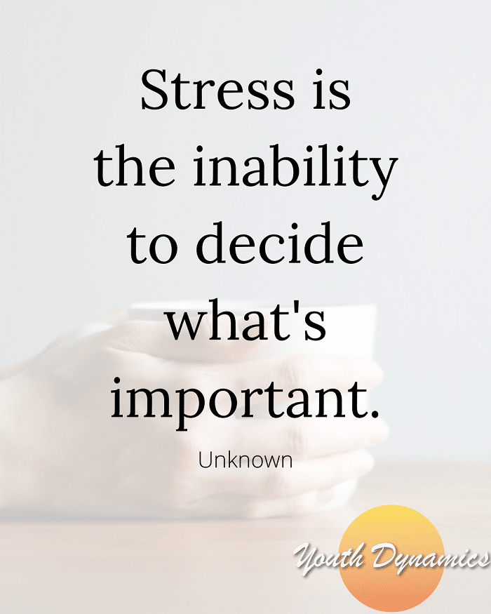 Quote 9- Stress is the inability to decide what's important.