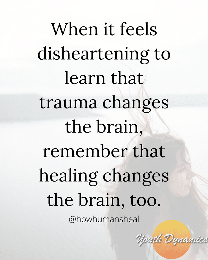 Quote 14- When it feels disheartening to learn that trauma changes the brain