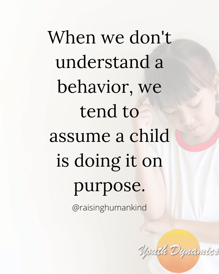 Quote 1- When we don't understand a behavior, we tend to assume a child is doing it on purpose.