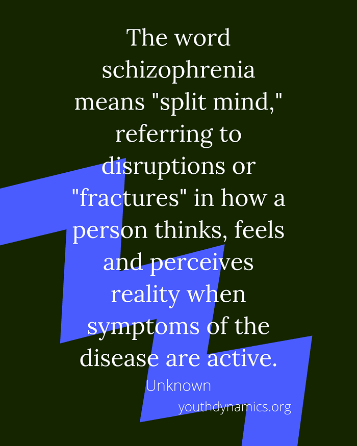 Quote 12 - The word schizophrenia means