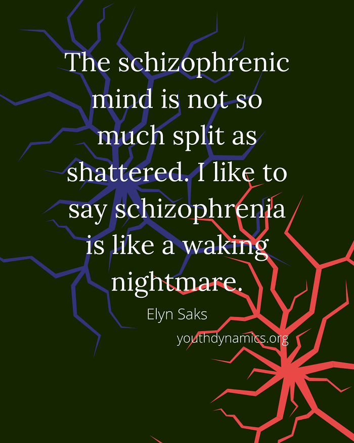 Quote 13 - The schizophrenic mind is not so much split as shattered