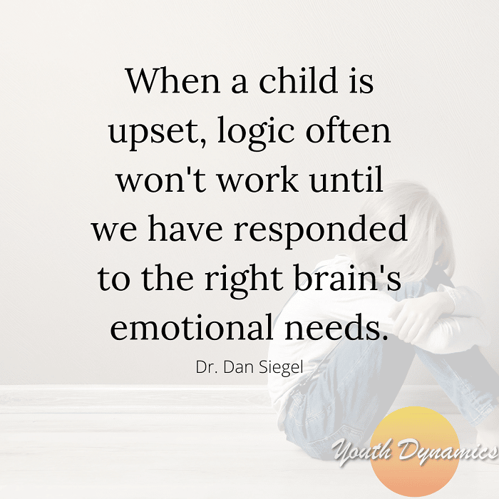 Quote 4- When a child is upset, logic often won't work