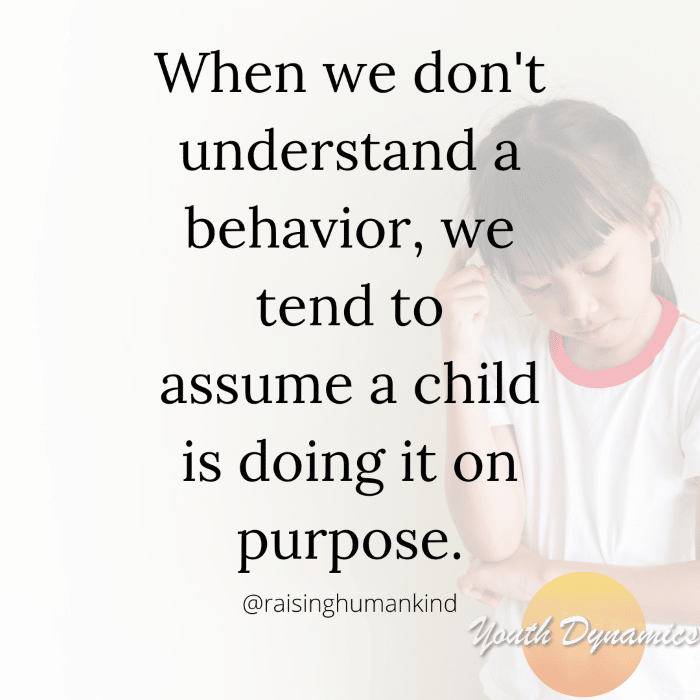Trauma- When we don't understand behavior, we tend to think kids are doing it on purpose