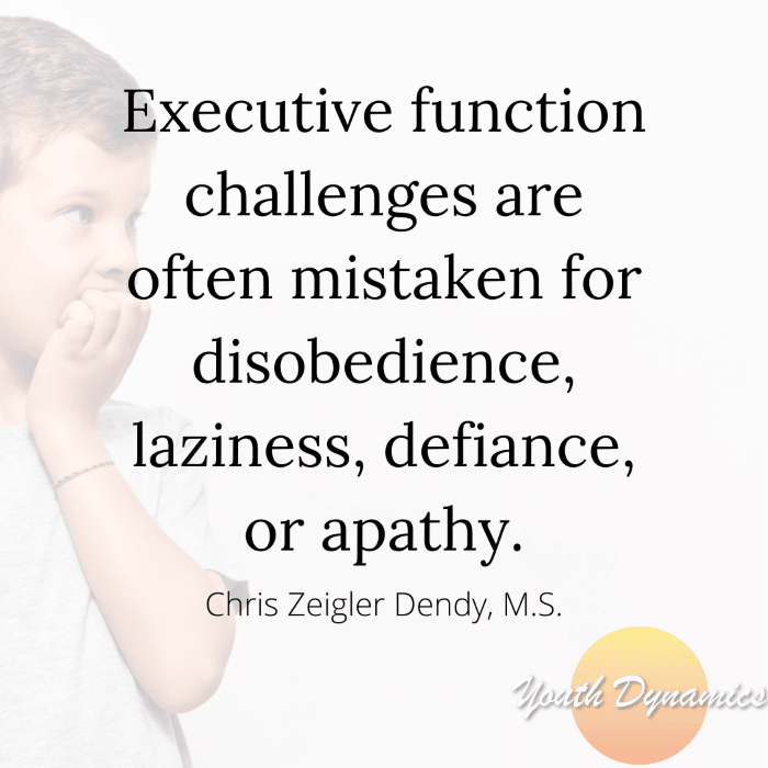 Quote 10- Executive function challenges