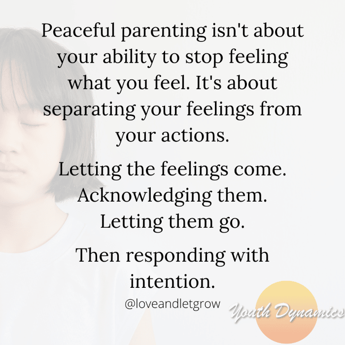 Quote 13- Peaceful parenting is about separating your feelings from your actions.