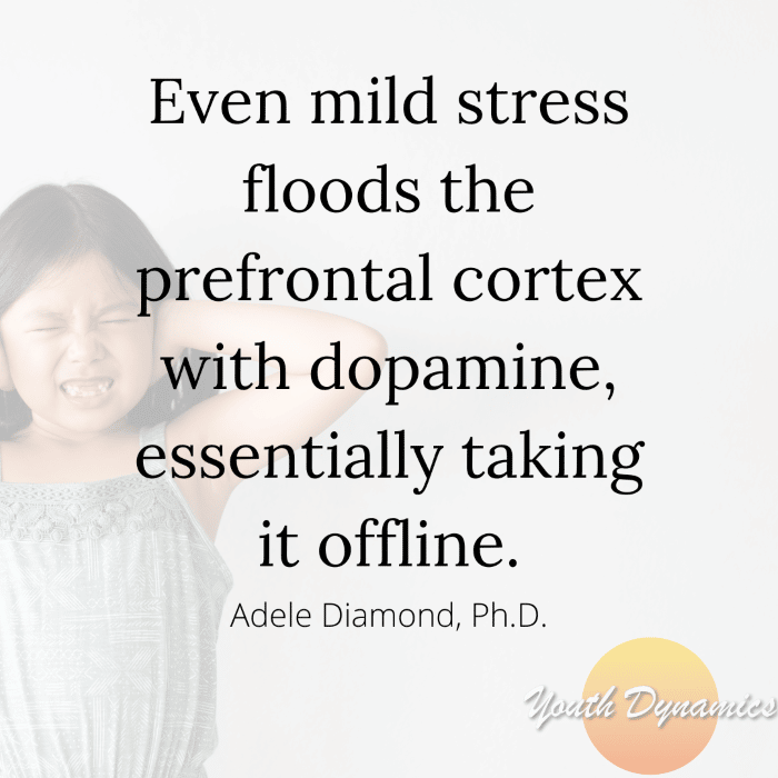 Quote 3- Even mild stress floods the prefrontal cortex