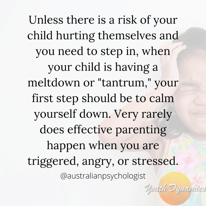 Quote 3 on parenting when triggered- Unless there is a risk of your child hurting themselves and you need to step in