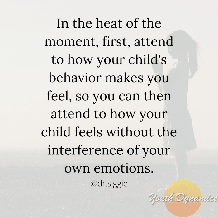 Quote 5- In the heat of the moment, first, attend to how your child's behavior makes you feel