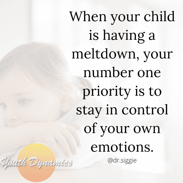 Quote 7- When your child is having a meltdown, your number one priority is to stay in control of your own emotions.