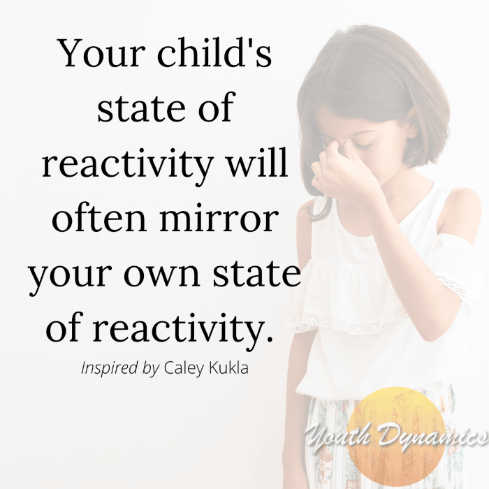 Quote 8- Your child's state of reactivity will often mirror your own state of reactivity.
