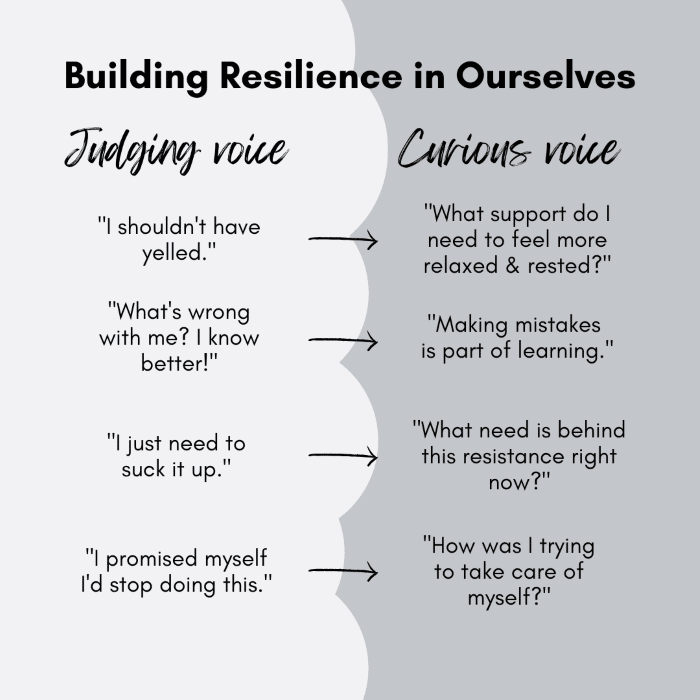 Building Resilience in Ourselves
