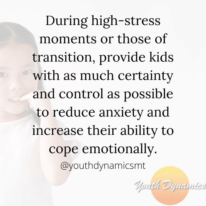 Quote 12 provide kids with as much certainty and control as possible to reduce anxiety