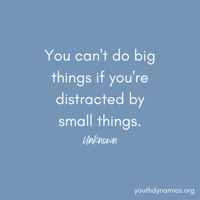 Quote 15 You cant do big things if youre distracted by small things.