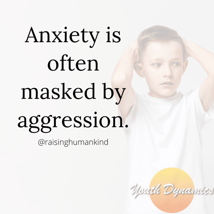 Quote 2 Anxiety is often masked as aggression