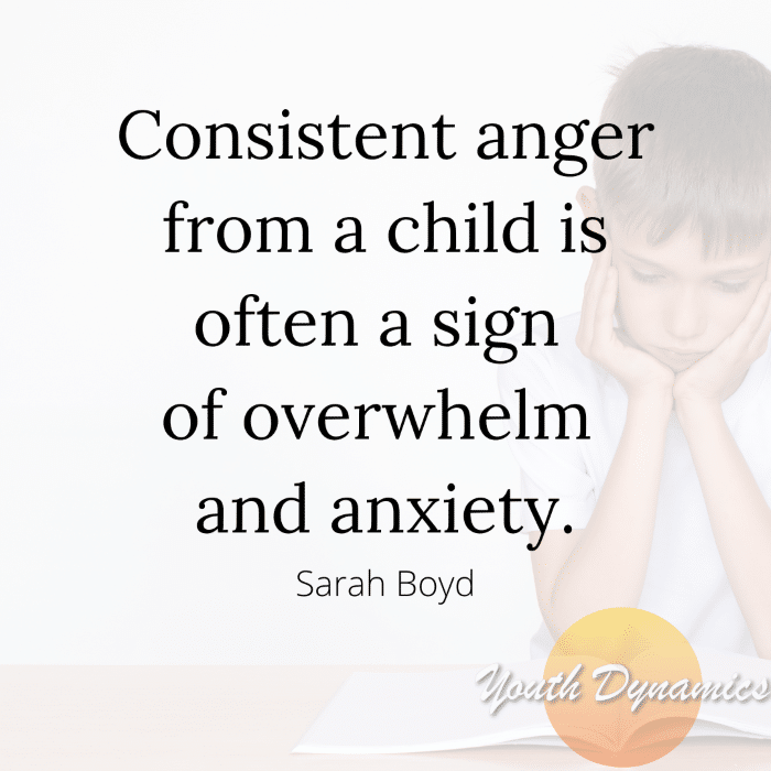 Quote 3 consistent anger is often a sign of overwhelm and anxiety