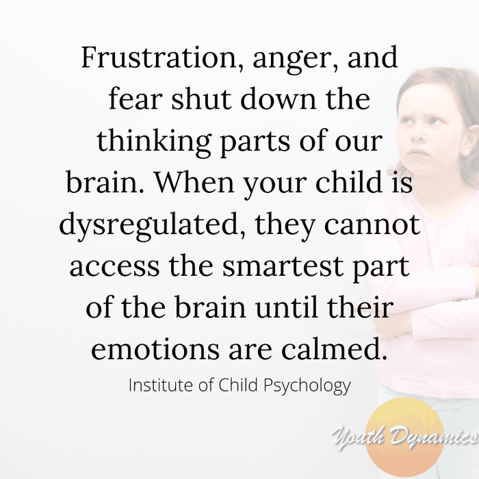 Quote 4 Frustration anger and fear shut down the thinking parts of our brain