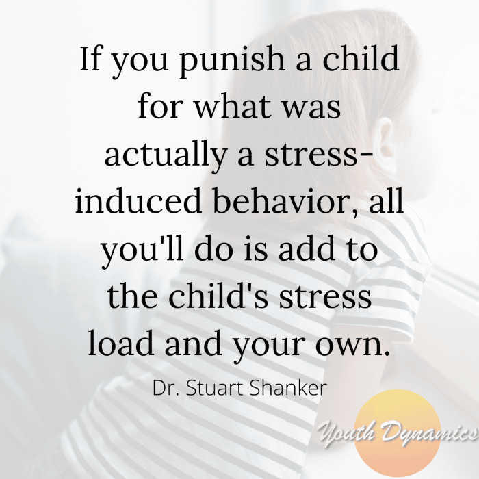 Quote 9 If you punish a child for what was actually a stress induced behavior