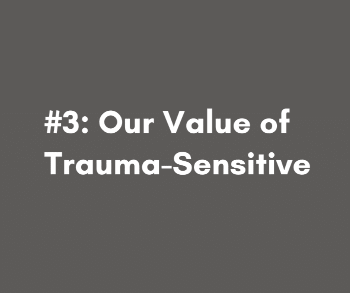 Youth Dynamics Core Value of Trauma Sensitive