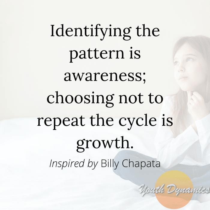 Quote 11 Identifying the pattern is awareness