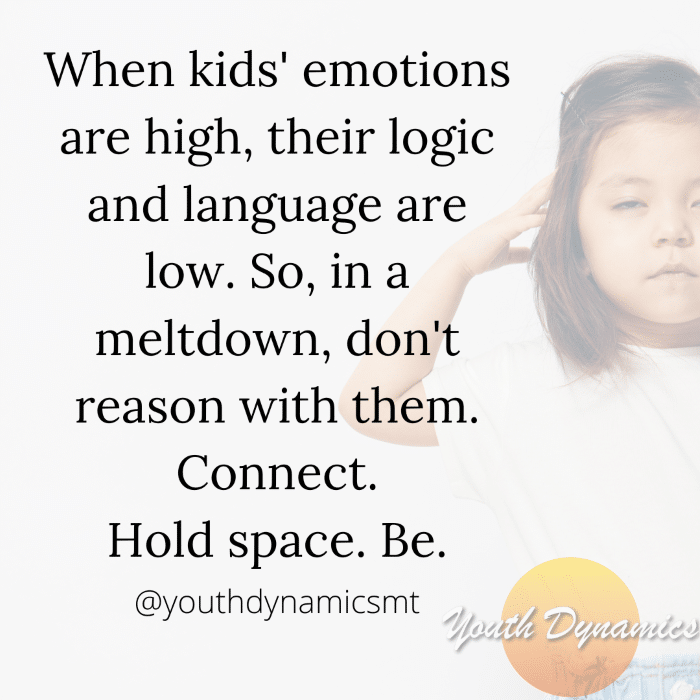 Quote 2 When kids' emotions are high, their logic and language are low