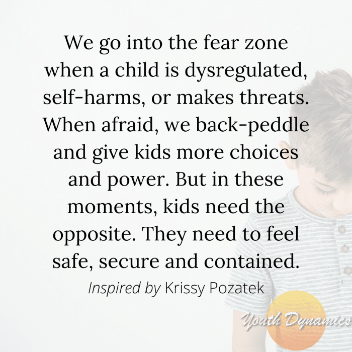 Quote 3 We go into the fear zone when a child is dysregulated